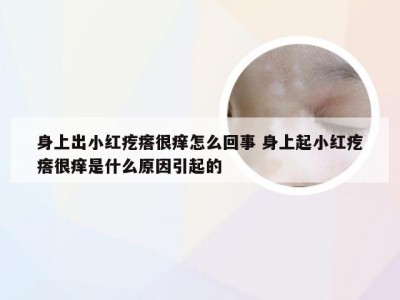 身上出小红疙瘩很痒怎么回事 身上起小红疙瘩很痒是什么原因引起的