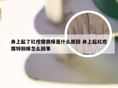 身上起了红疙瘩很痒是什么原因 身上起红疙瘩特别痒怎么回事