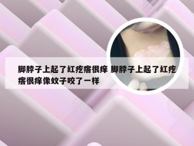 脚脖子上起了红疙瘩很痒 脚脖子上起了红疙瘩很痒像蚊子咬了一样