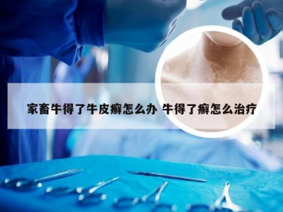 家畜牛得了牛皮癣怎么办 牛得了癣怎么治疗