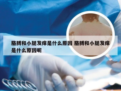 胳膊和小腿发痒是什么原因 胳膊和小腿发痒是什么原因呢