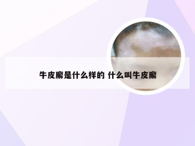 牛皮廨是什么样的 什么叫牛皮廨