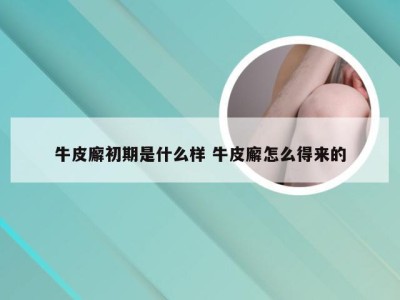 牛皮廨初期是什么样 牛皮廨怎么得来的