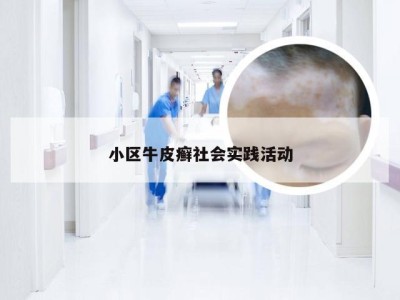 小区牛皮癣社会实践活动