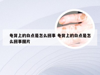 龟背上的白点是怎么回事 龟背上的白点是怎么回事图片