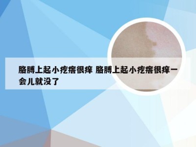 胳膊上起小疙瘩很痒 胳膊上起小疙瘩很痒一会儿就没了