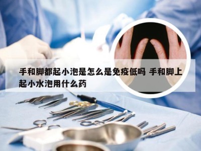 手和脚都起小泡是怎么是免疫低吗 手和脚上起小水泡用什么药