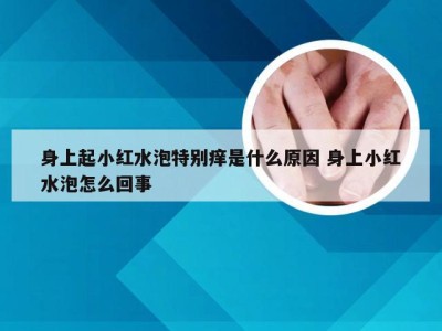 身上起小红水泡特别痒是什么原因 身上小红水泡怎么回事