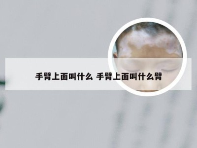 手臂上面叫什么 手臂上面叫什么臂