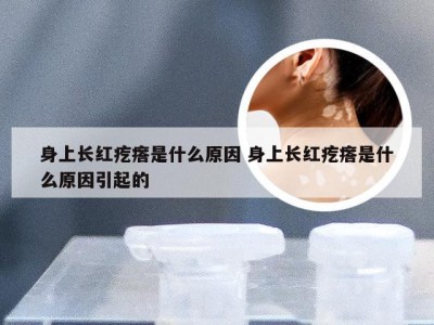 身上长红疙瘩是什么原因 身上长红疙瘩是什么原因引起的