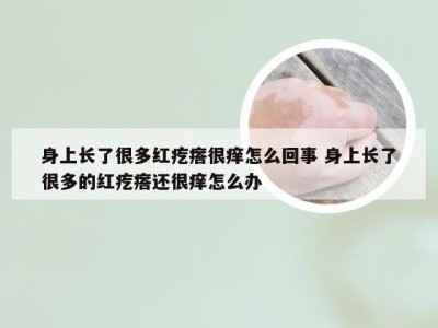 身上长了很多红疙瘩很痒怎么回事 身上长了很多的红疙瘩还很痒怎么办