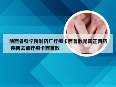 陕西省科学院制药厂疗癣卡西普散是真正国药 陕西去病疗癣卡西甫散