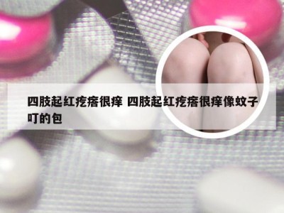 四肢起红疙瘩很痒 四肢起红疙瘩很痒像蚊子叮的包