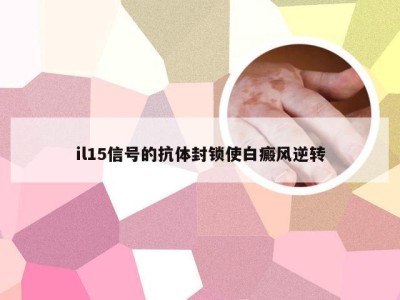 il15信号的抗体封锁使白癜风逆转