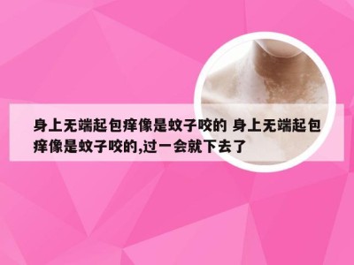 身上无端起包痒像是蚊子咬的 身上无端起包痒像是蚊子咬的,过一会就下去了