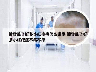 后背起了好多小红疙瘩怎么回事 后背起了好多小红疙瘩不痛不痒